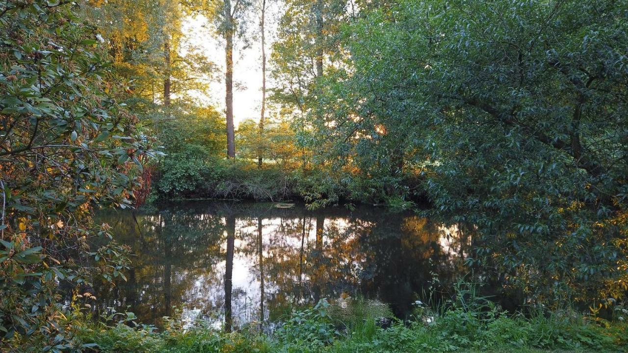 Fewo Lueneburger Heide - Aurelia Lejlighed Bad Bevensen Eksteriør billede